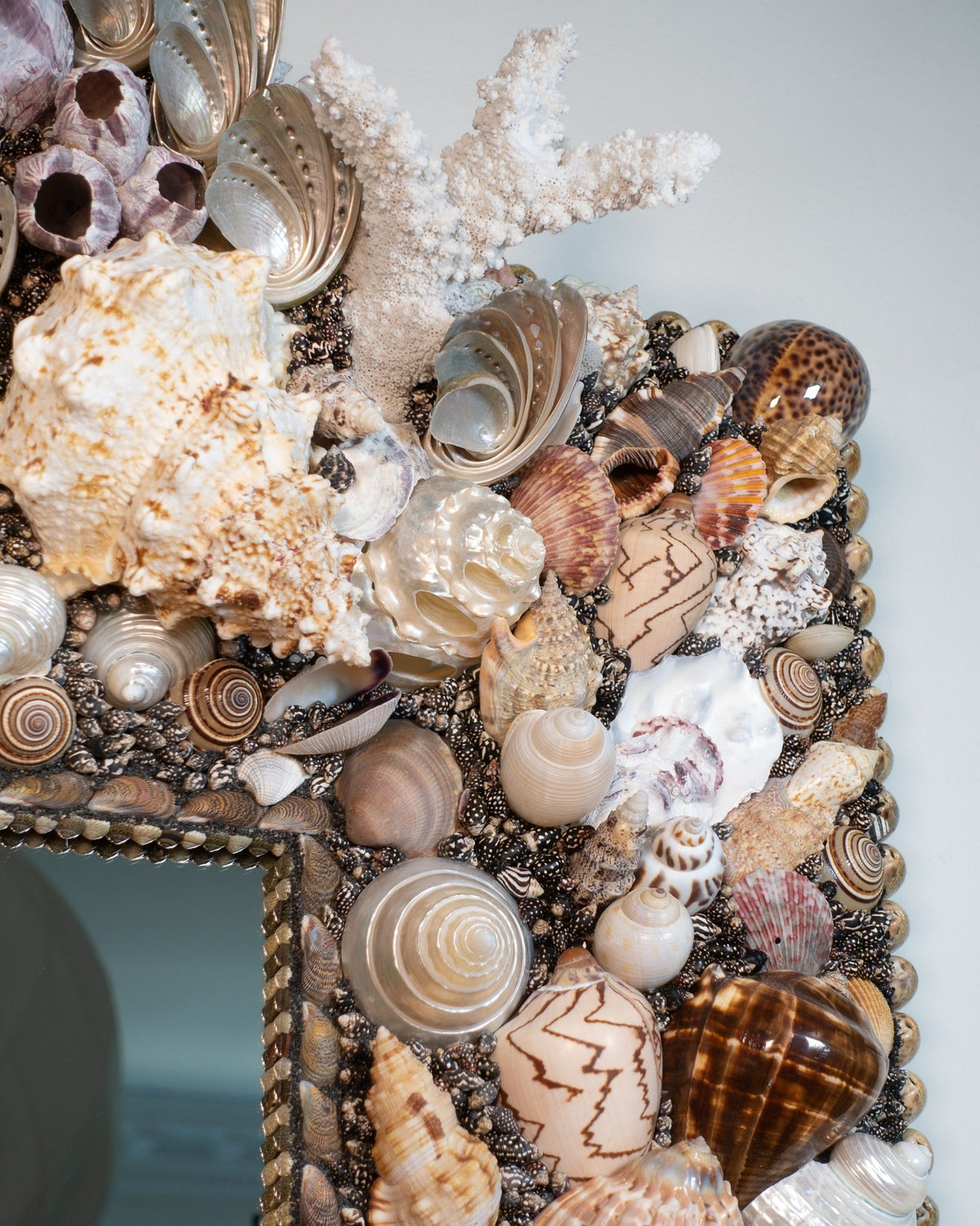 Summer Special — free-form shell mirror