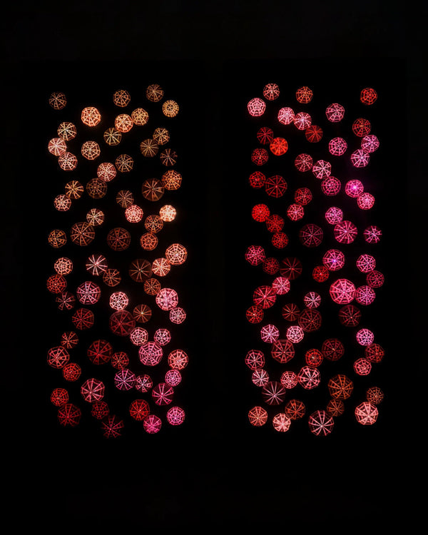 The One & The Other One