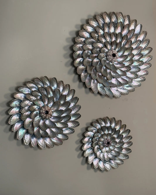 WHIRLPOOLS | Wall decoration | Shellman | Amsterdam | Natural art from sea and beach